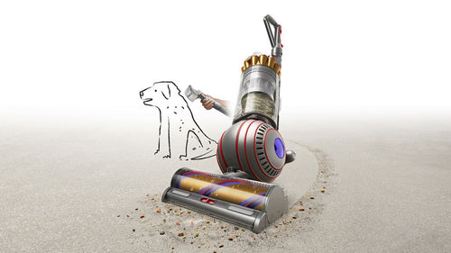 Dyson Ball Animal 3 Complete (Gold)