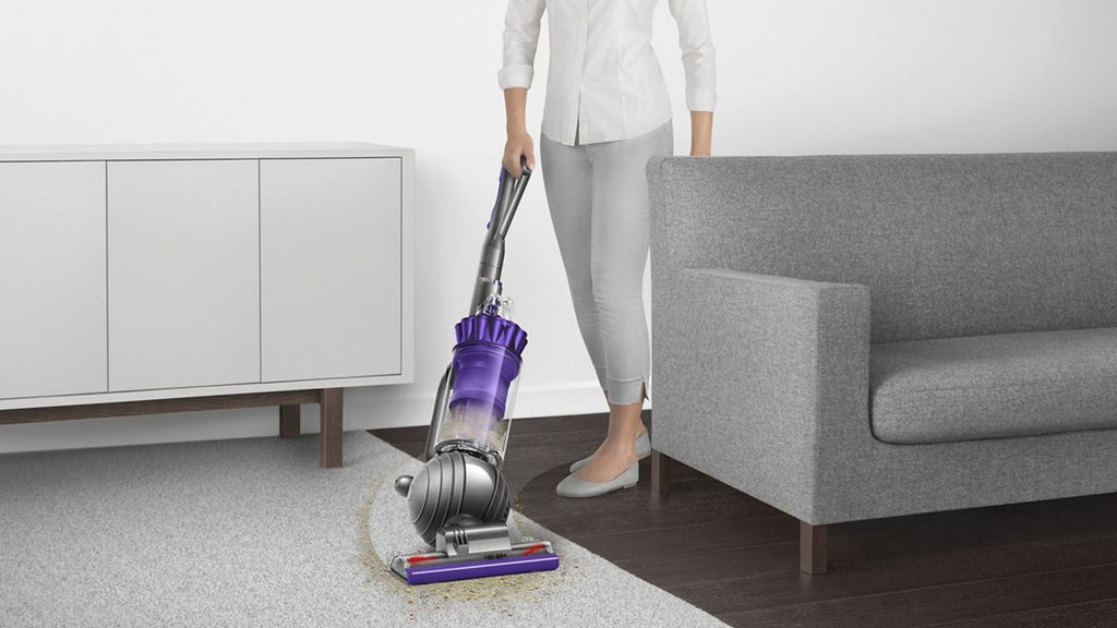 Dyson Ball Animal Origin