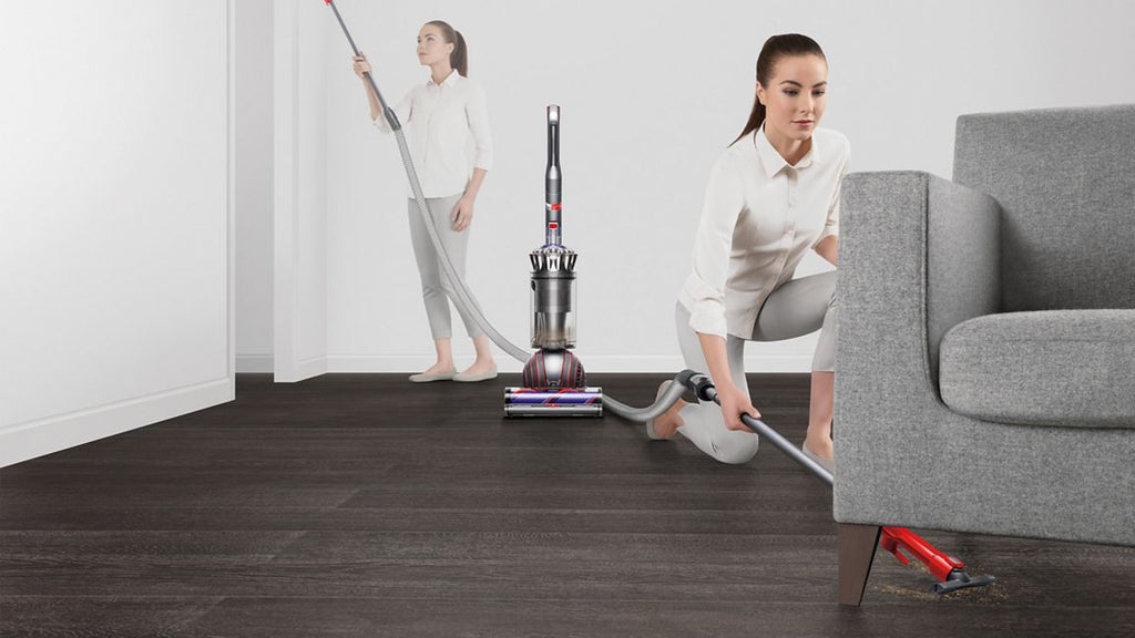 Dyson Ball Animal 3 (Nickel)
