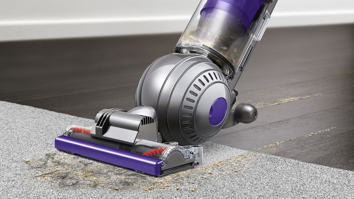 Dyson Ball Animal Origin