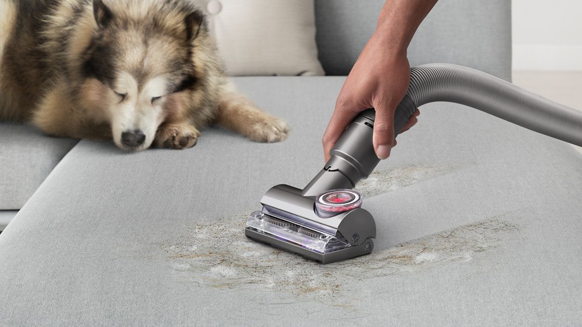 Dyson Ball Animal 3 Extra (Copper)