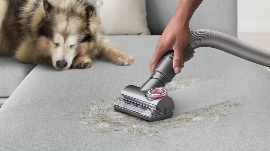 Dyson Ball Animal 3 (Nickel)