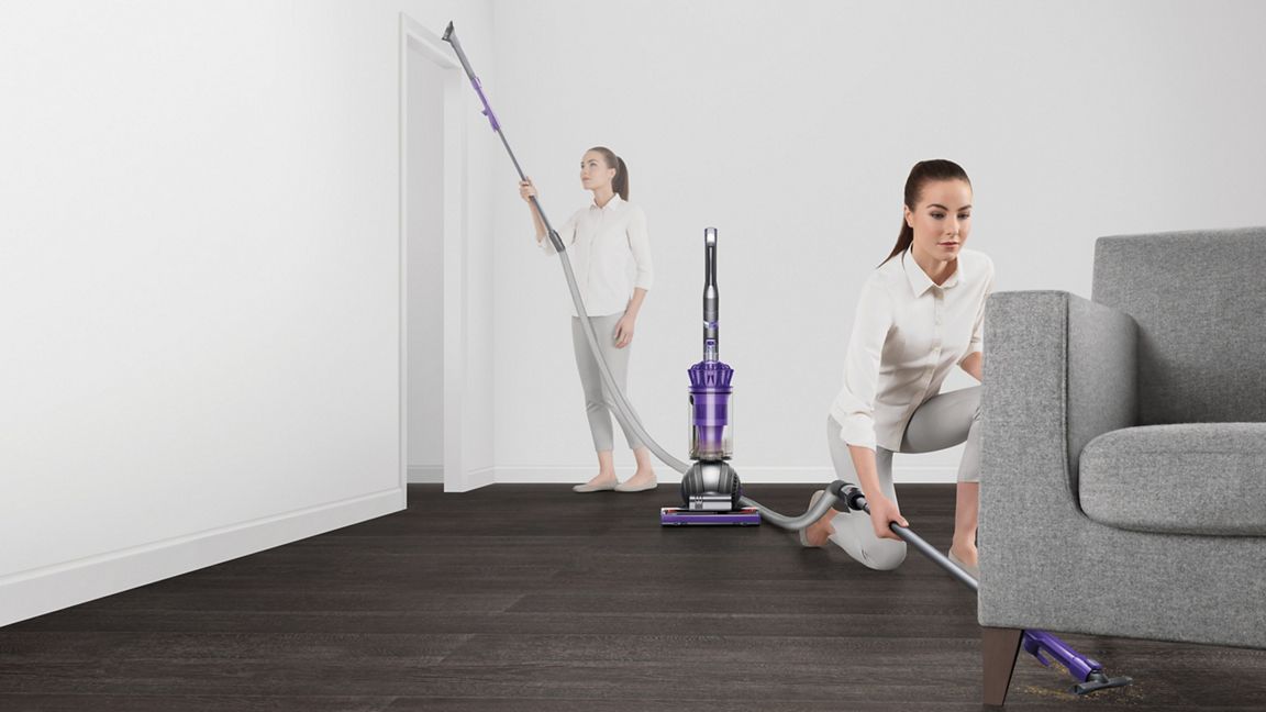 Dyson Ball Animal Origin