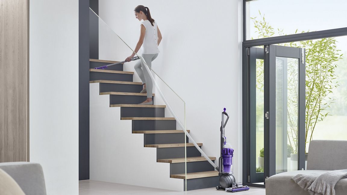 Dyson Ball Animal Origin